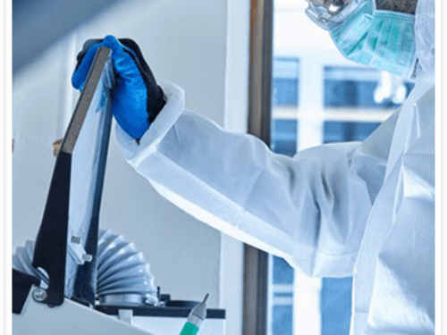CellXRenewal_scientist CellXRenewal_scientist